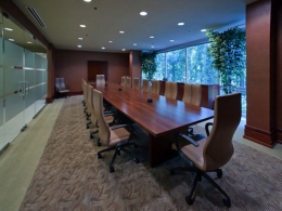 1 260px Conference Room